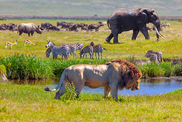 Tanzania